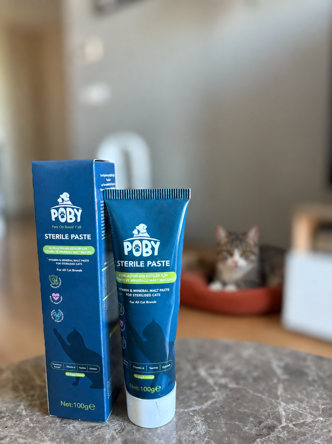 Norah's dog