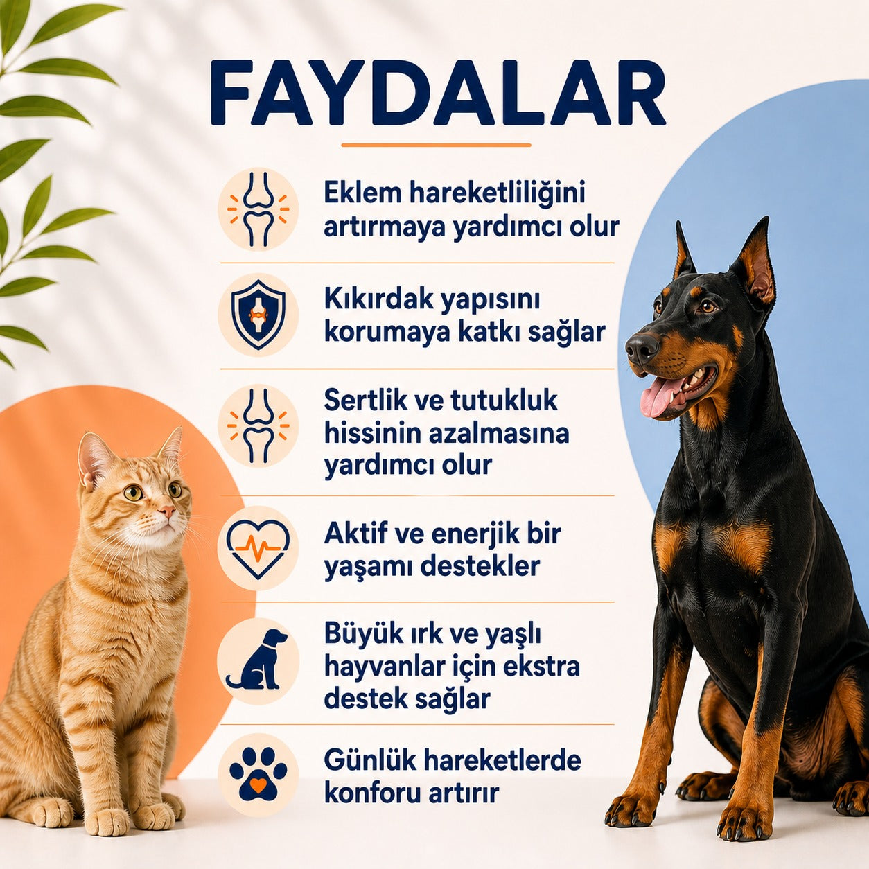 Kedi ve Köpekler İçin Eklem Sağlığını Destekleyici Hip&Joint Tablet