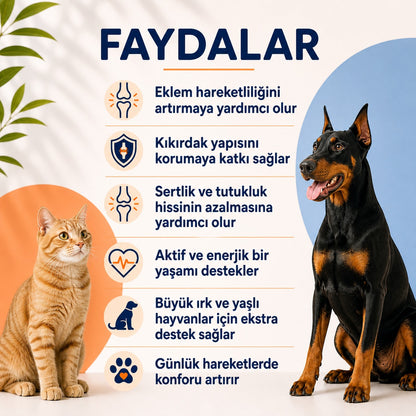 Kedi ve Köpekler İçin Eklem Sağlığını Destekleyici Hip&Joint Tablet