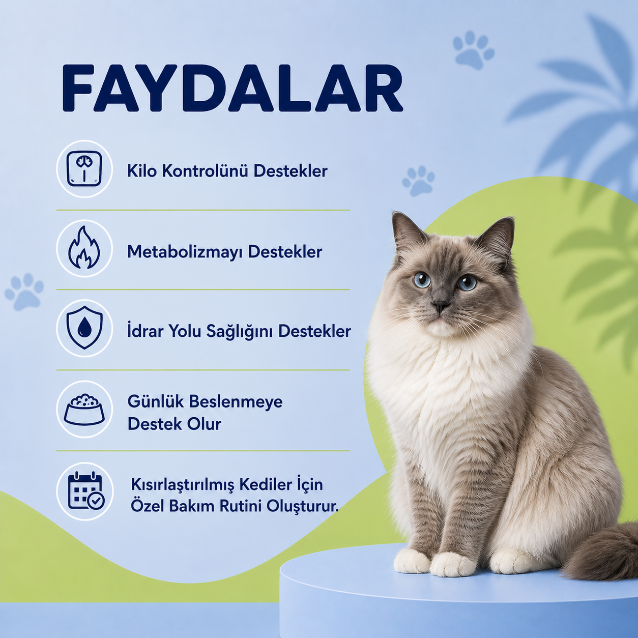 Kısırlaştırılmış Kediler İçin Bağışlıklık ve Üriner Sistemi Destekleyici Steril Macun