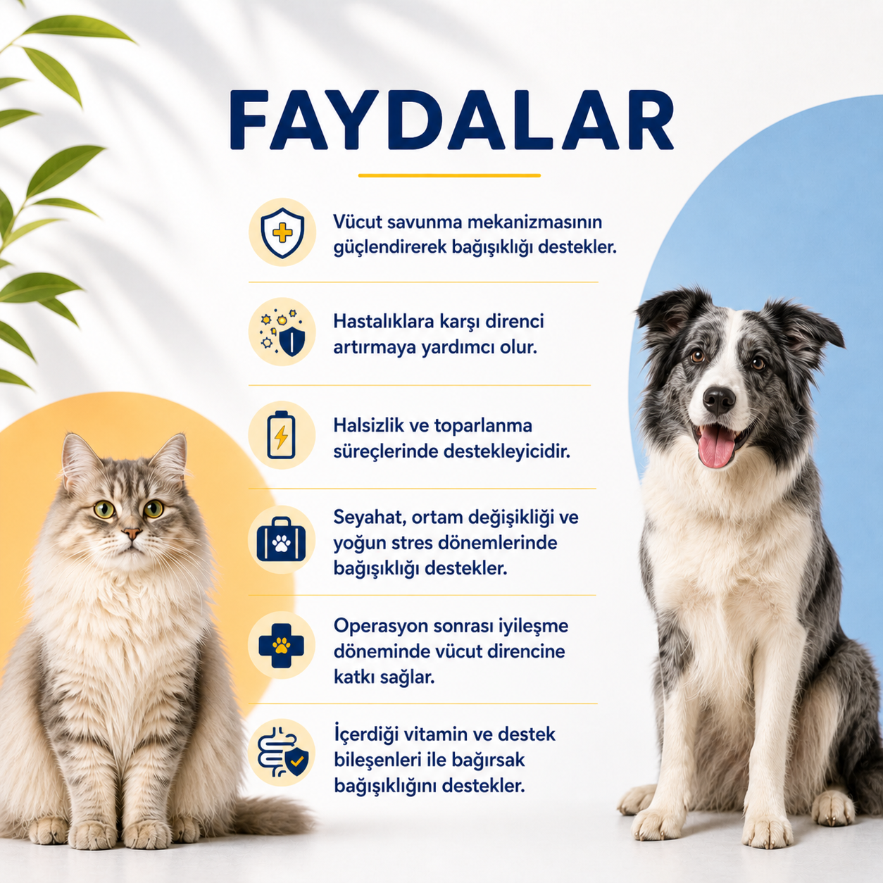 Kedi Ve Köpekler İçin Bağışıklık Sistemini Destekleyici Immune Tablet